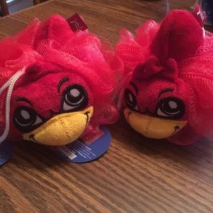 Loofah Louisville cardinals 2/$5